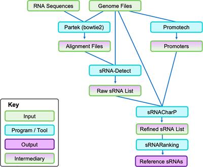 Bacterial small RNAs may mediate immune response differences seen in respiratory syncytial virus versus rhinovirus bronchiolitis